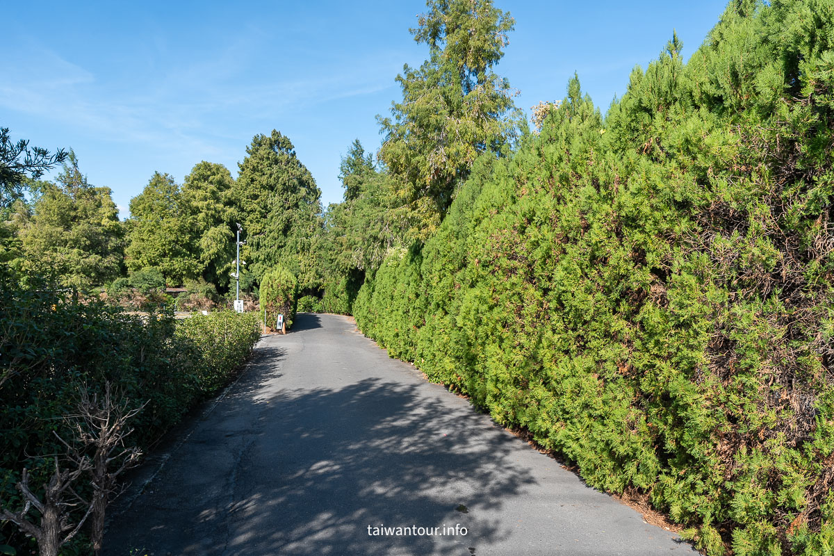 【菁芳園落羽松景觀餐廳】彰化景點推薦田尾公路花園 【菁芳園落羽松景觀餐廳】彰化景點推薦田尾公路花園