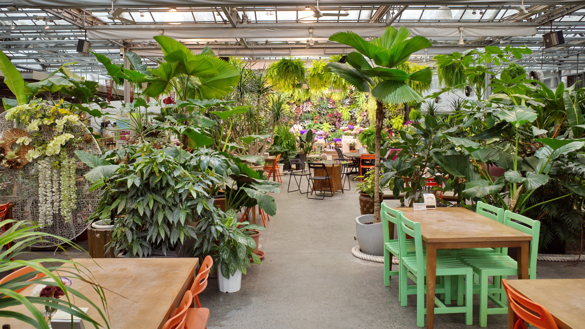 【菁芳園落羽松景觀餐廳】彰化景點推薦田尾公路花園 【菁芳園落羽松景觀餐廳】彰化景點推薦田尾公路花園
