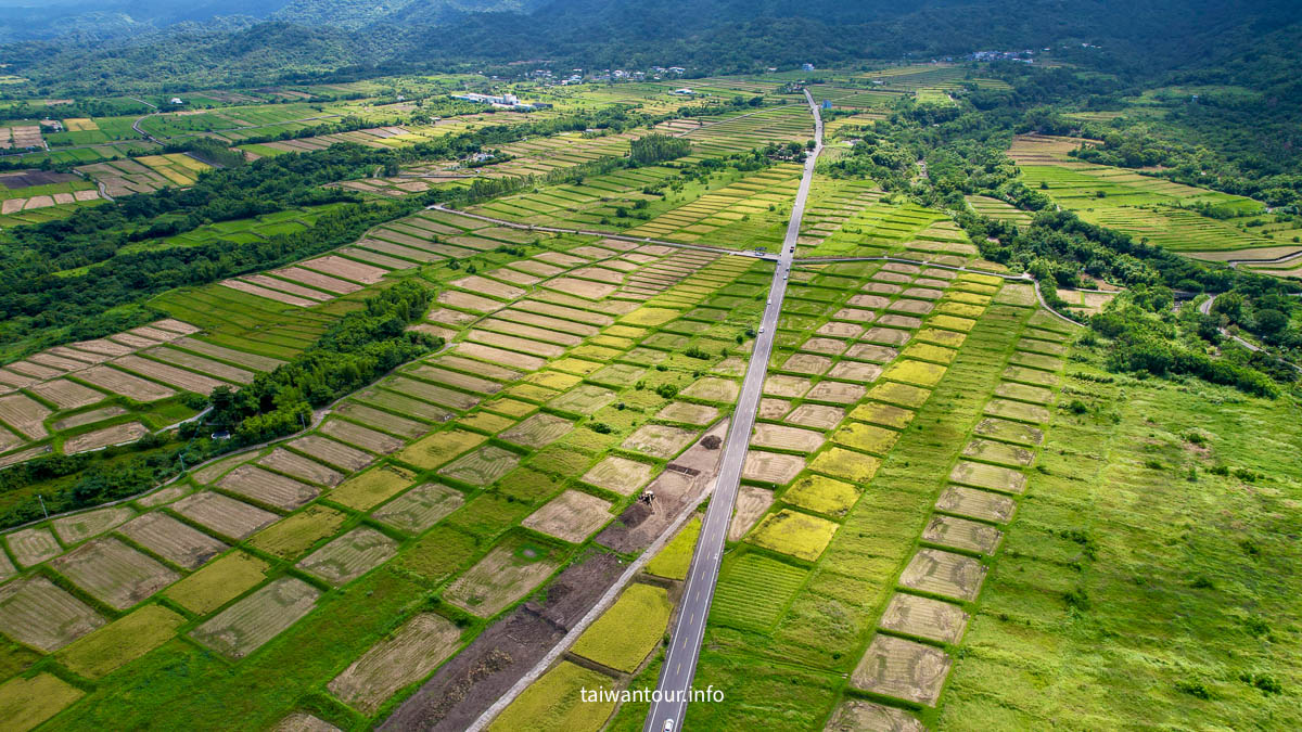 【金剛大道(長光梯田大道)】長濱鄉台東景點推薦秘境