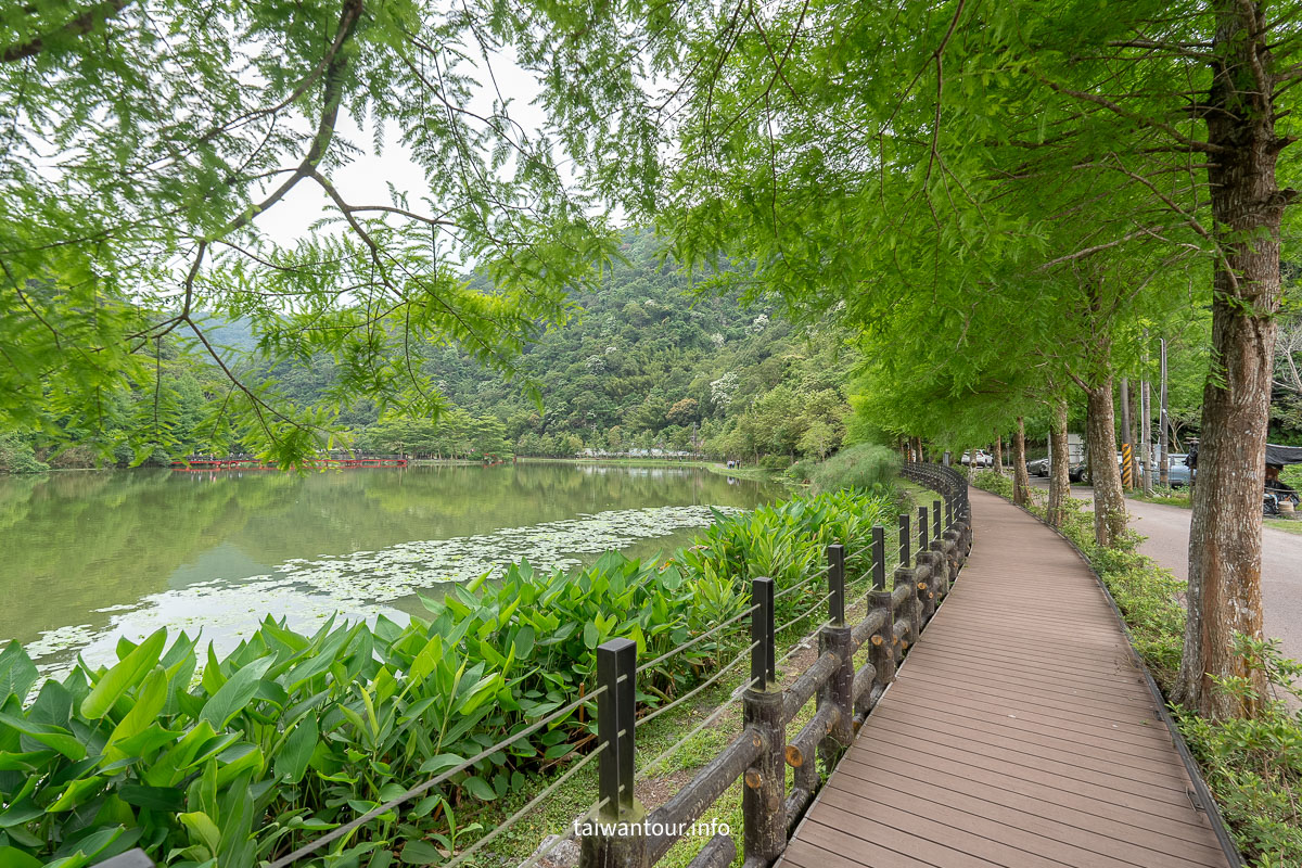 【望龍埤.飛龍步道】花田村.宜蘭員山鄉景點推薦.附近美食