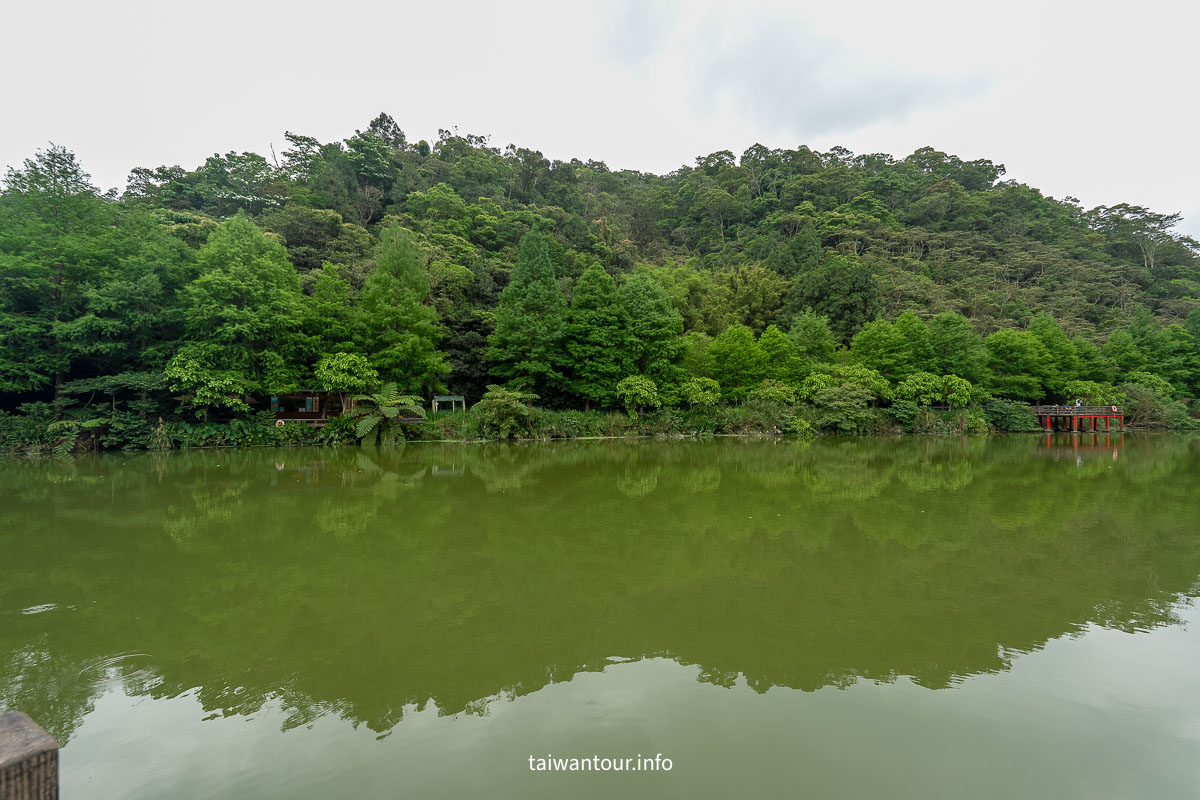 【望龍埤.飛龍步道】花田村.宜蘭員山鄉景點推薦.附近美食