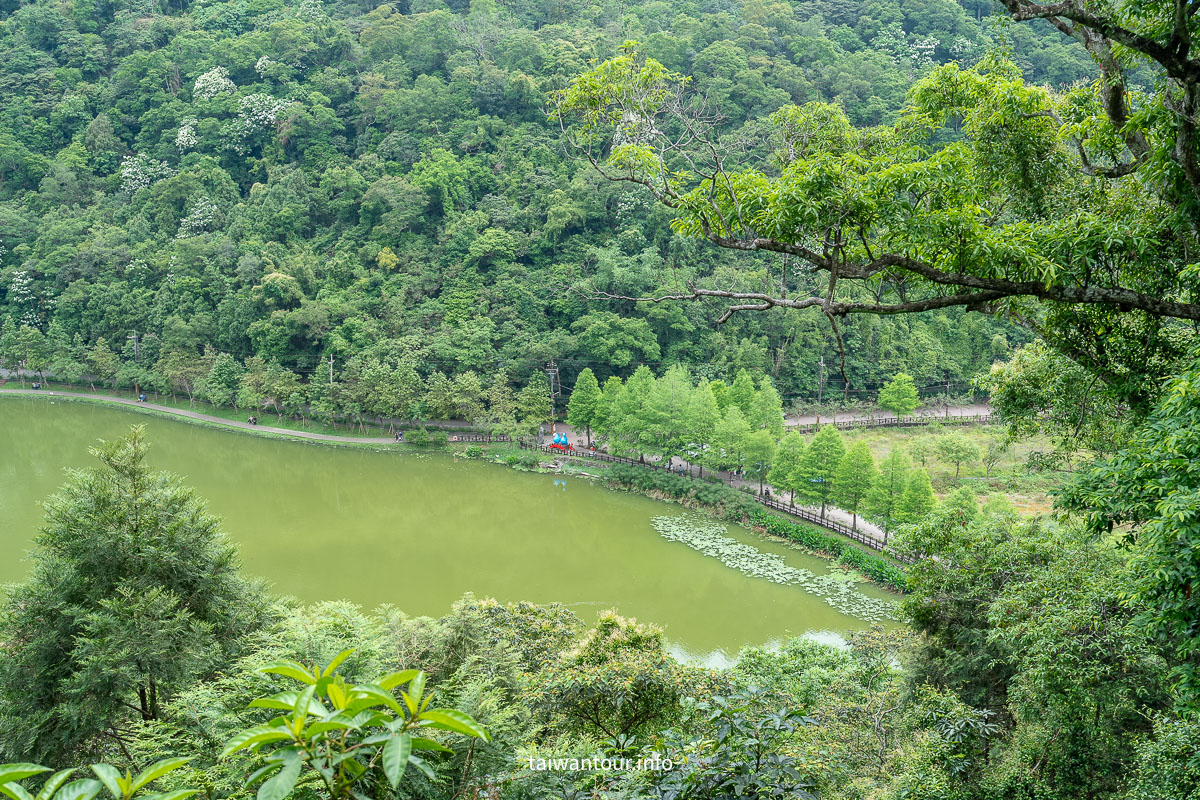 【望龍埤.飛龍步道】花田村.宜蘭員山鄉景點推薦.附近美食