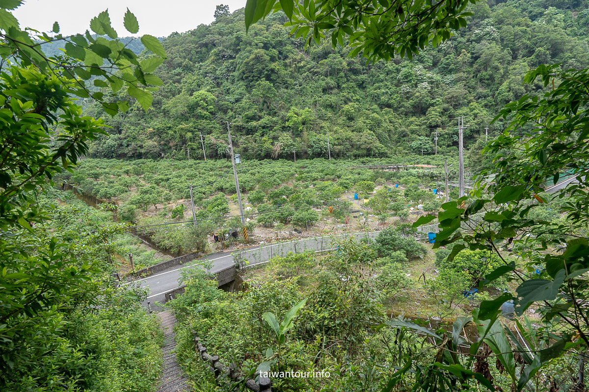 【望龍埤.飛龍步道】花田村.宜蘭員山鄉景點推薦.附近美食