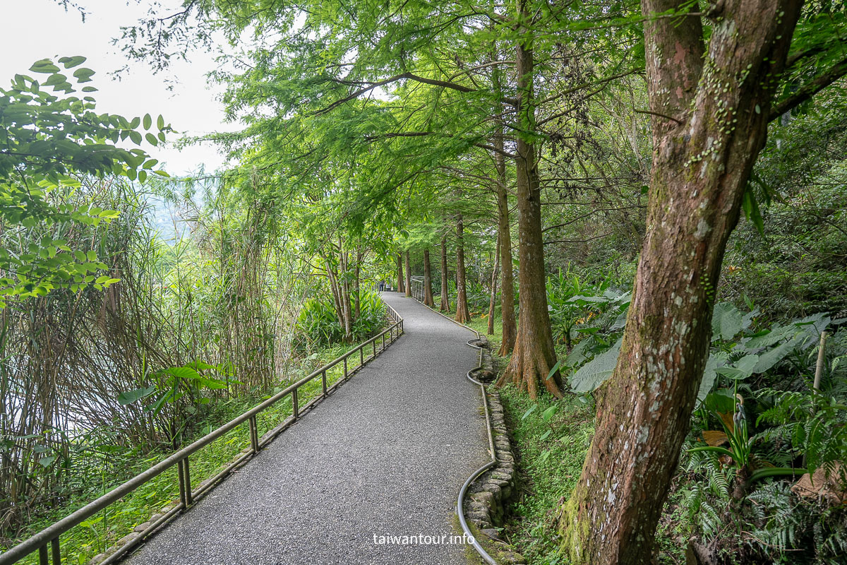 【望龍埤.飛龍步道】花田村.宜蘭員山鄉景點推薦.附近美食