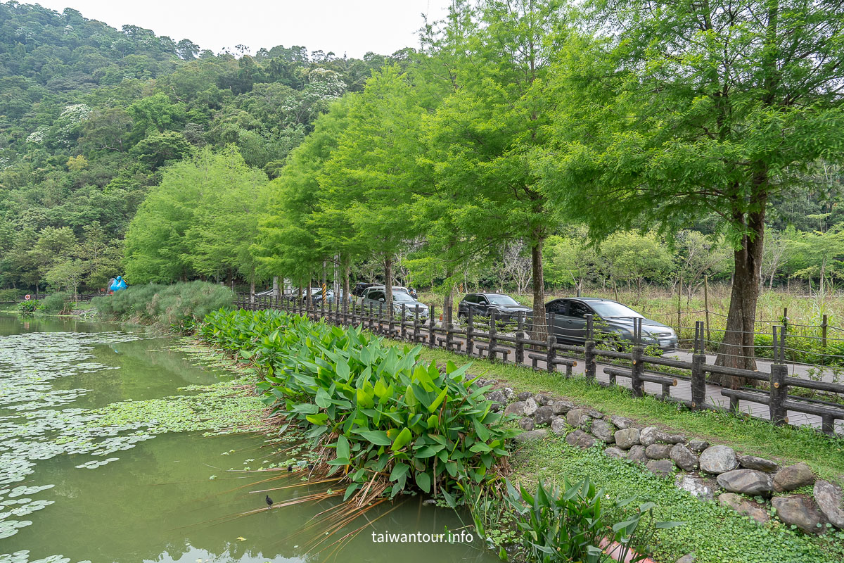 【望龍埤.飛龍步道】花田村.宜蘭員山鄉景點推薦.附近美食