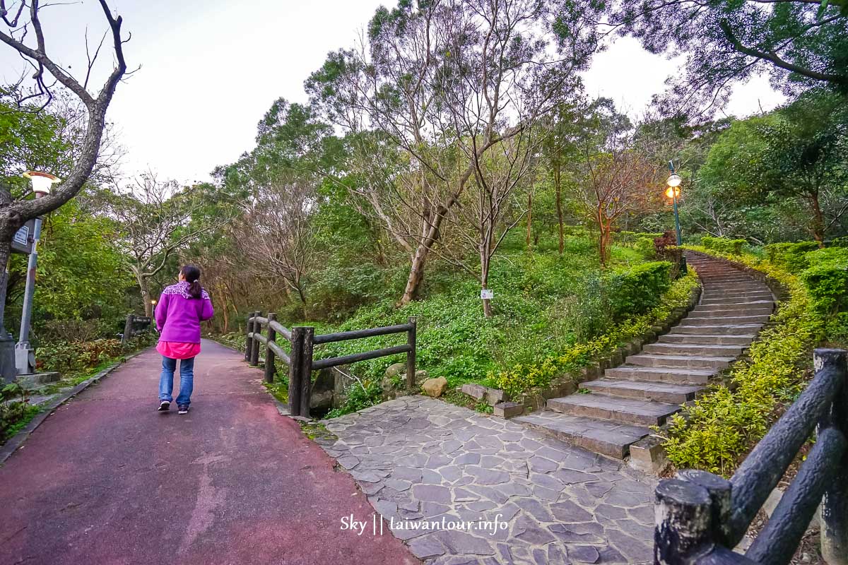 【水碓觀景公園】五股櫻花秘境百萬夜景觀景台.私房景點.公車 【水碓觀景公園】五股櫻花秘境百萬夜景觀景台.私房景點.公車