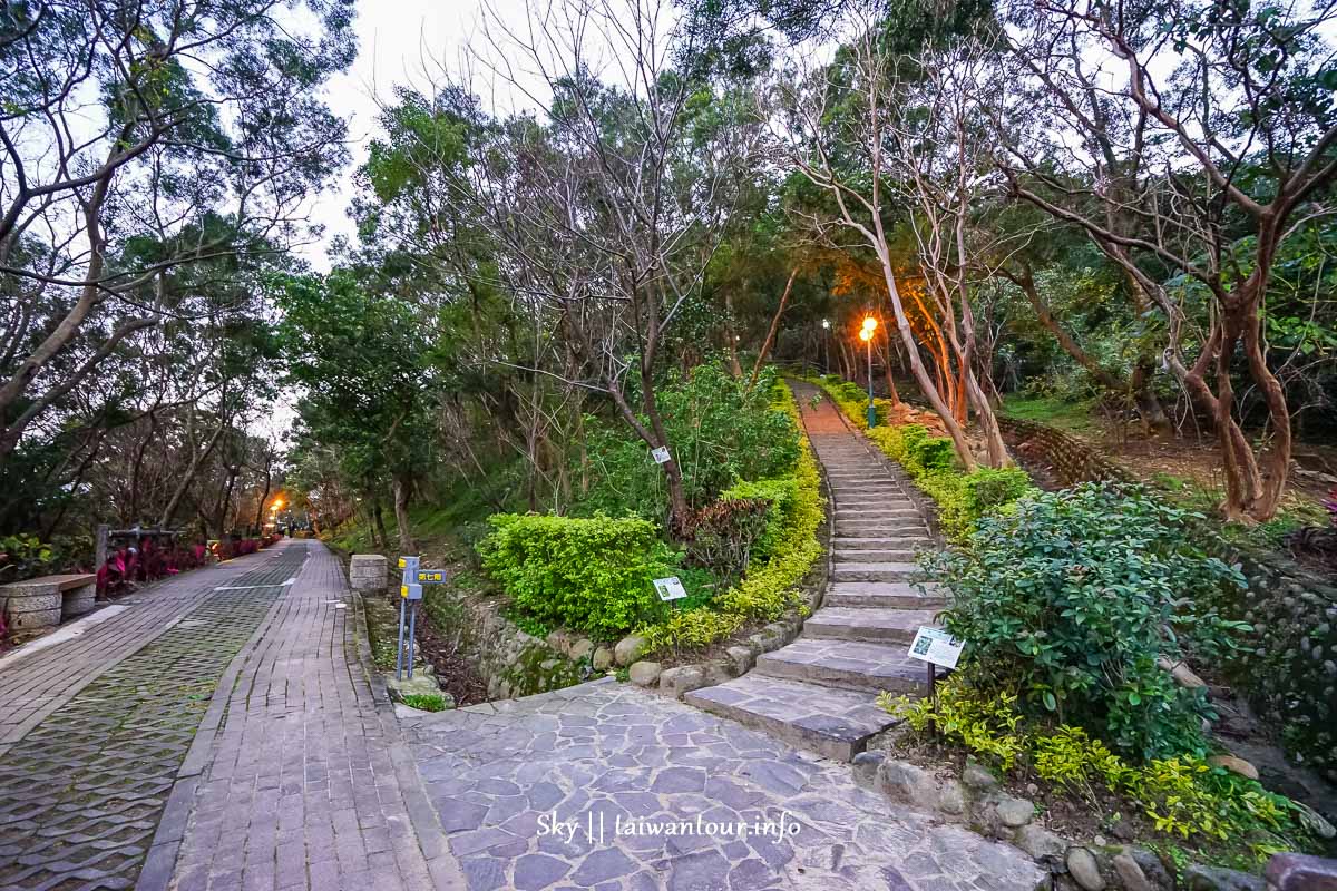 【水碓觀景公園】五股櫻花秘境百萬夜景觀景台.私房景點.公車 【水碓觀景公園】五股櫻花秘境百萬夜景觀景台.私房景點.公車