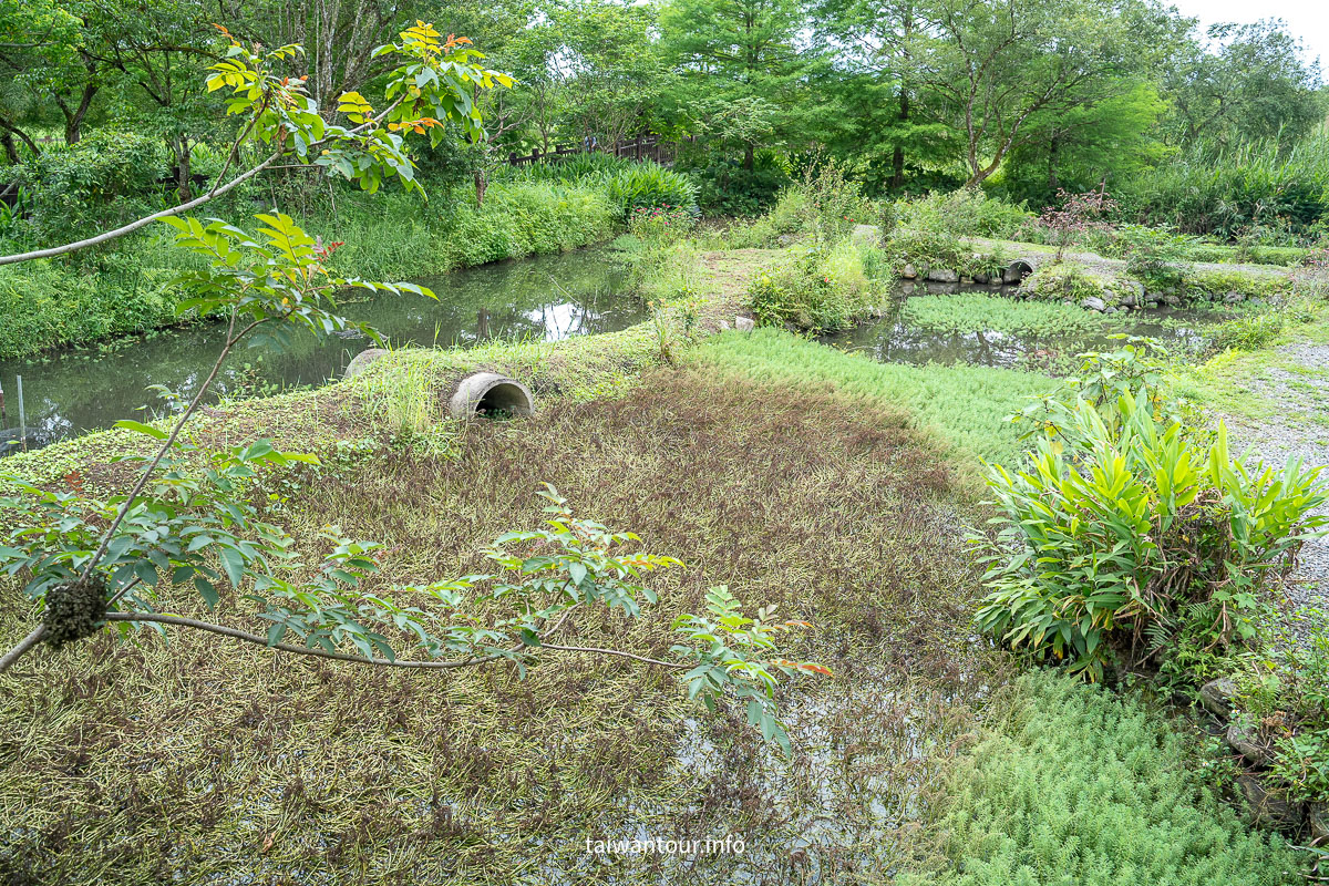 【欣綠農園-馬太鞍濕地】光復巴拉告生態捕魚DIY.石煮火鍋.花蓮景點推薦