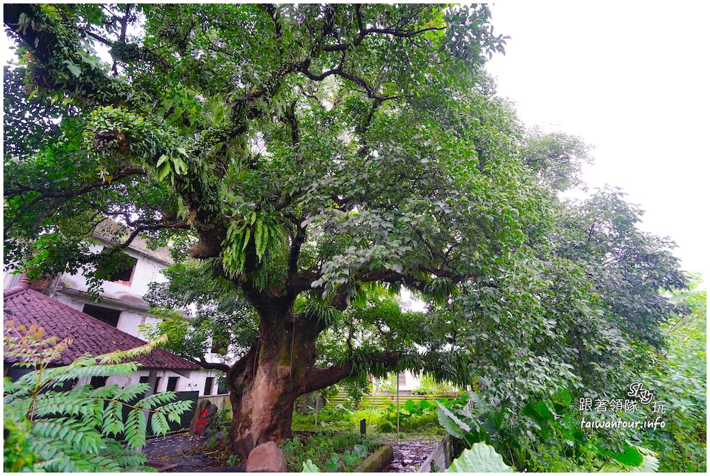 多媒體檔案(%e5%8d%97%e6%8a%95%e5%9f%94%e9%87%8c%e5%8d%8a%e6%97%a5%e9%81%8a ...