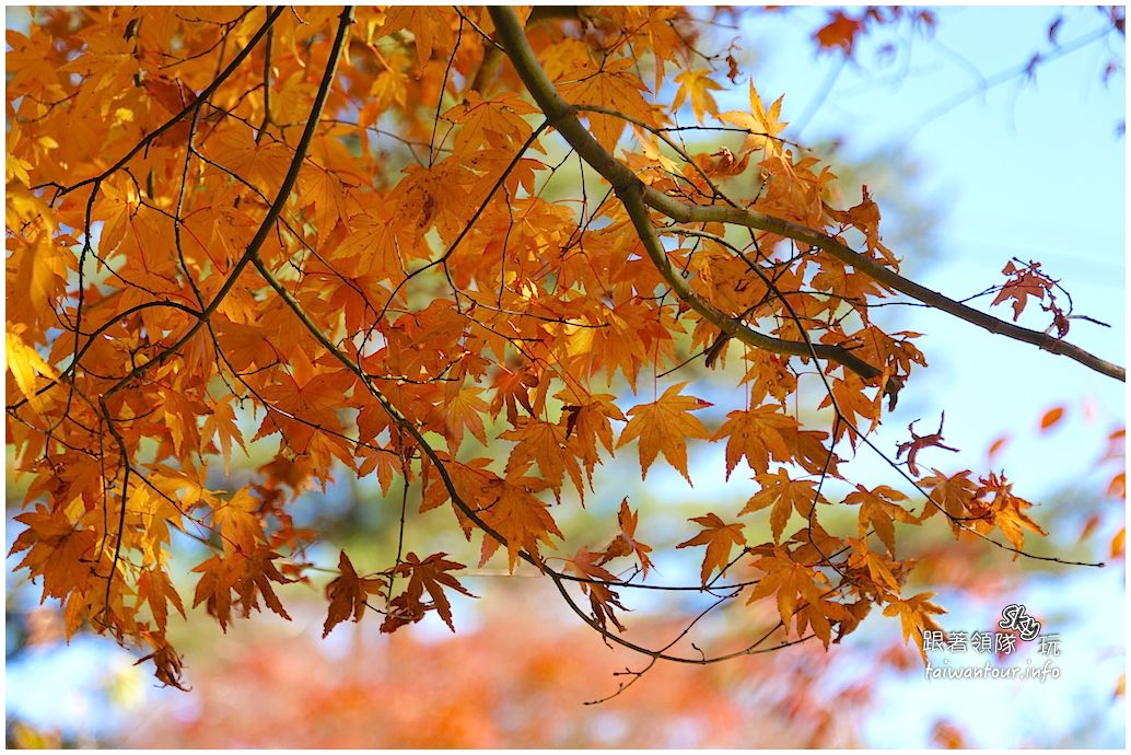 多媒體檔案(%e5%8f%b0%e4%b8%ad%e6%99%af%e9%bb%9e%e6%8e%a8%e8%96%a6%e7%a6%8f ...