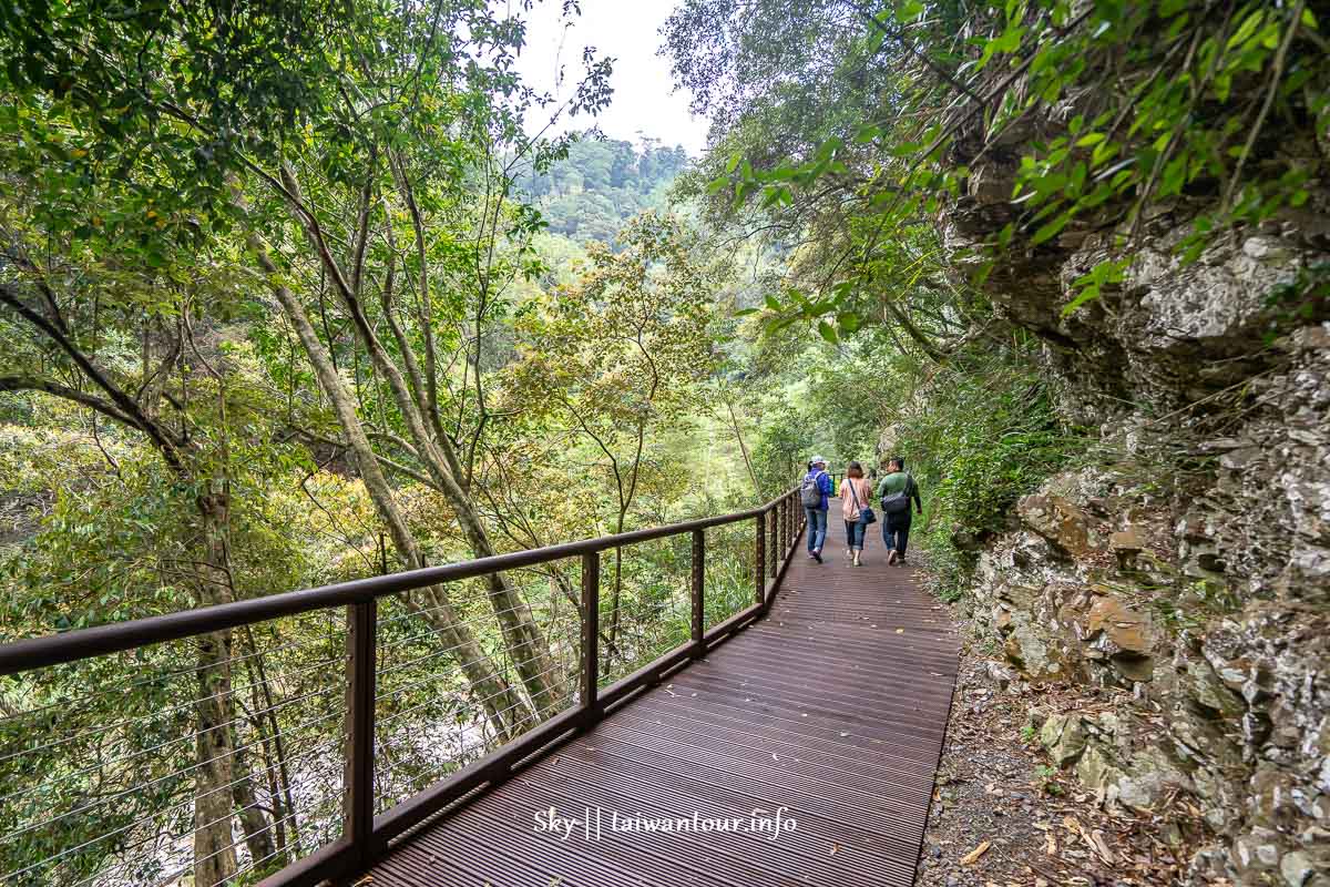 台中景點推薦【八仙山森林遊樂區】親子景點.和平天空步道