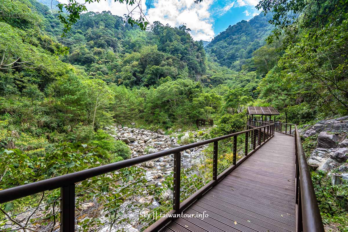 台中景點推薦【八仙山森林遊樂區】親子景點.和平天空步道