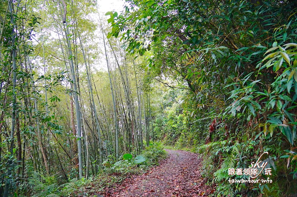 2017新竹桐花祭一日遊【關西八寮古道、關西老街、新埔陳氏宗祠】