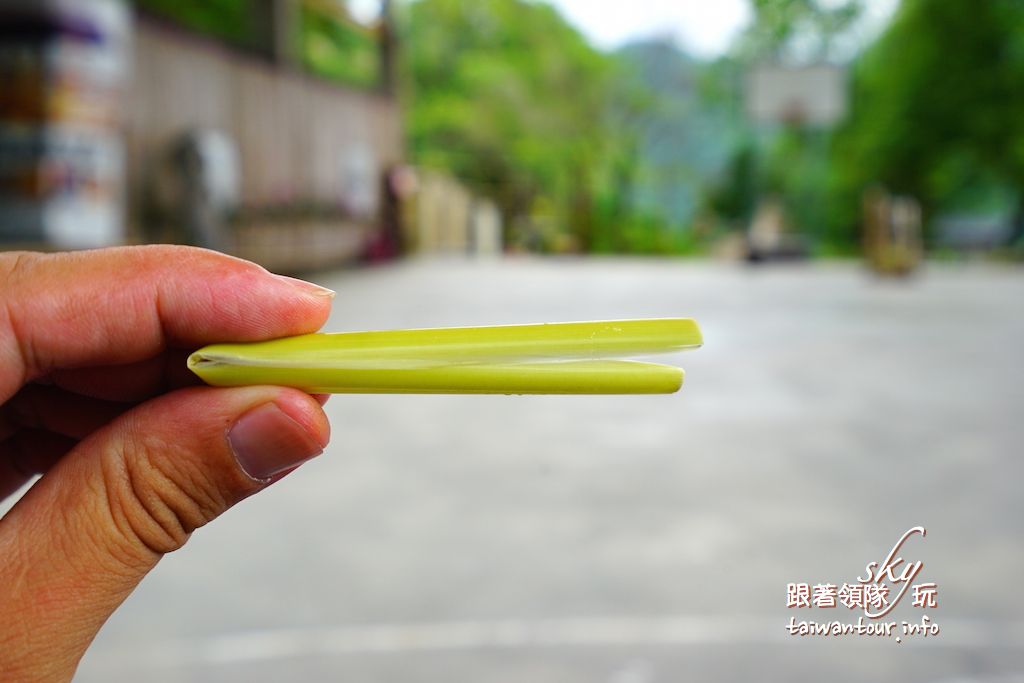 嘉義景點推薦-阿里山原住民深旅行．美食【茶山部落】