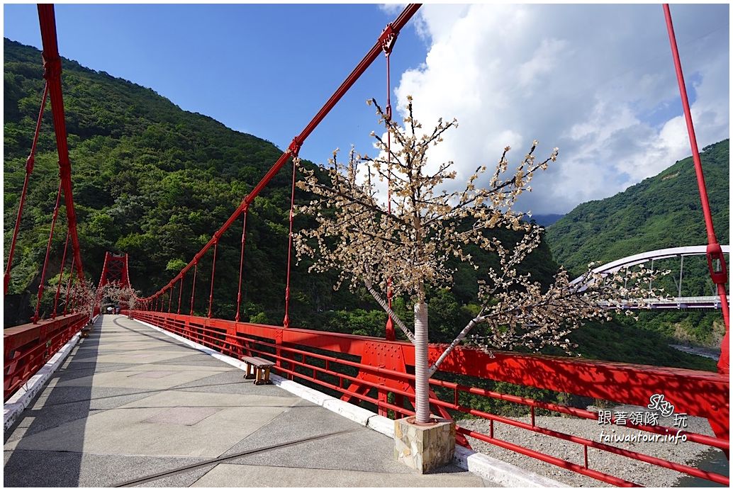 【巴陵古道】桃園復興鄉拉拉山秘境推薦親子景點