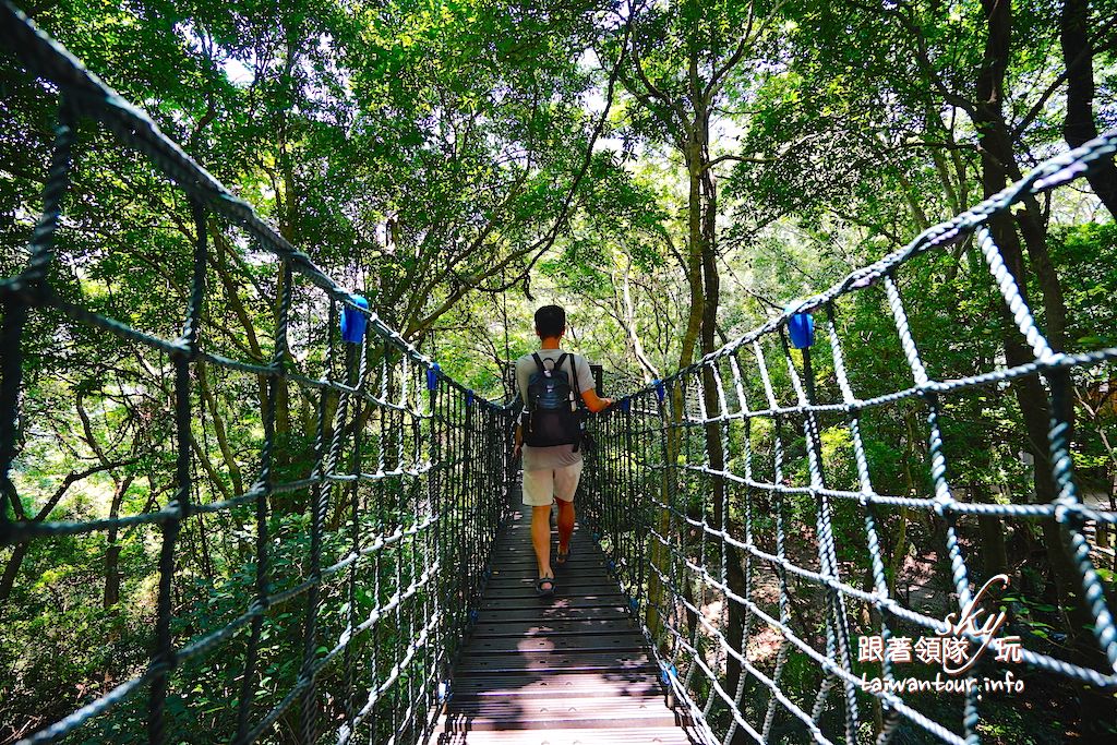 【巴陵古道】桃園復興鄉拉拉山秘境推薦親子景點