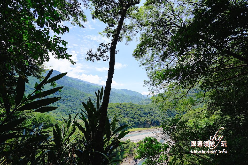 【巴陵古道】桃園復興鄉拉拉山秘境推薦親子景點