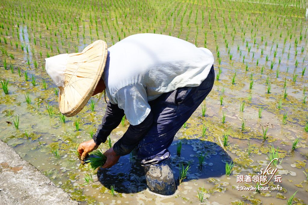 2017桃園地景藝術節千層秘境【桃園親子一日遊】