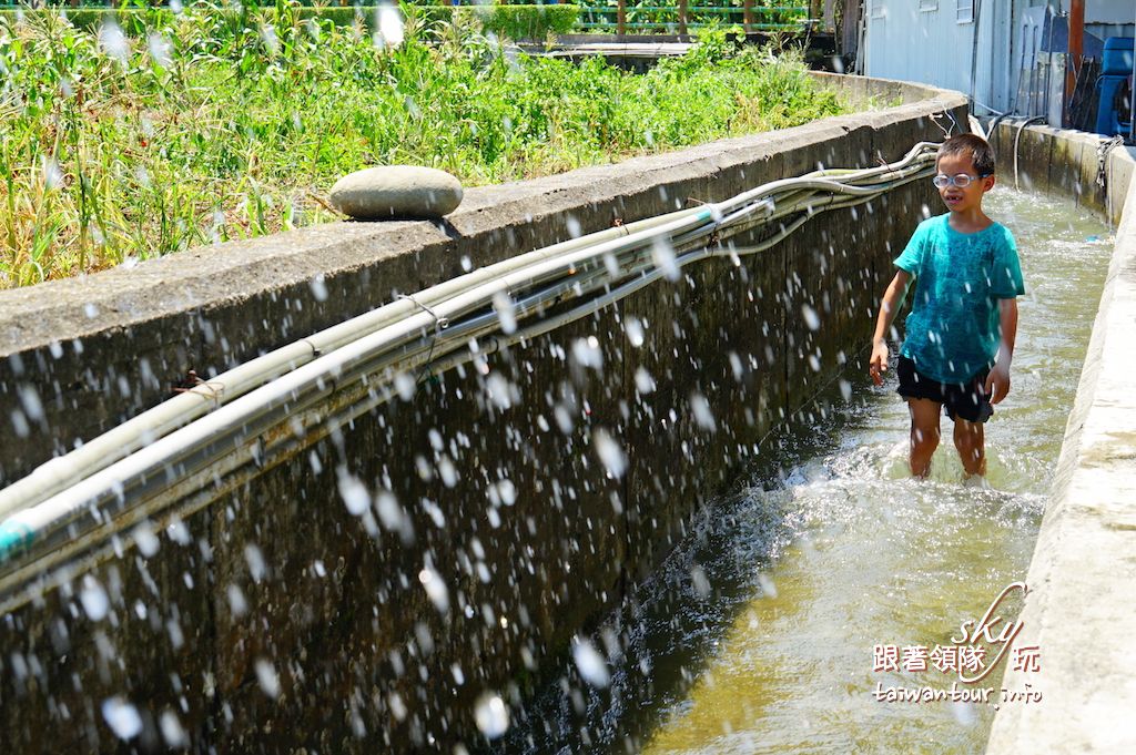 花蓮景點推薦【蓮城蓮花園】吉安玩水親子旅遊小葉王蓮