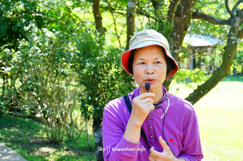 桃園景點推薦【驛品香生態農園.露營區】楊梅鎮植物染