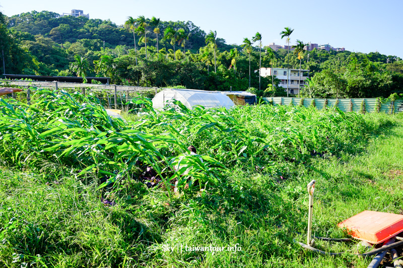 桃園景點推薦-免門票DIY體驗【大溪魚菜工坊】