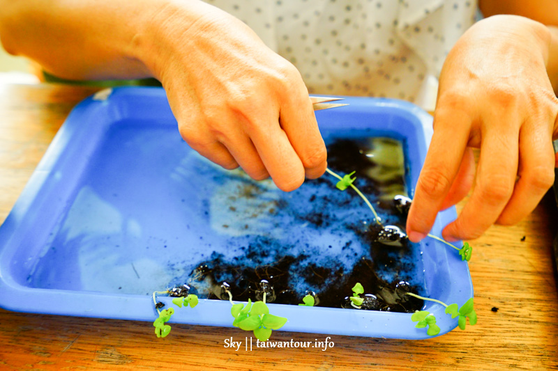 桃園景點推薦-免門票DIY體驗【大溪魚菜工坊】