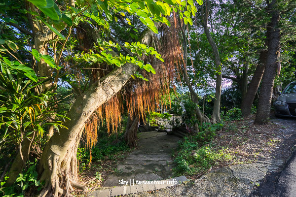 【劍南山蝶園蝴蝶步道】內湖親子景點推薦百萬夜景跨年.怎麼去