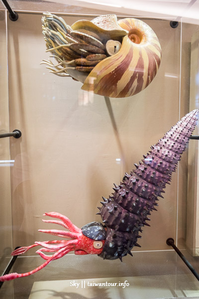 【國立臺灣博物館土銀展示館】台北雨天景點推薦雨天.門票.導覽停車.恐龍化石2024