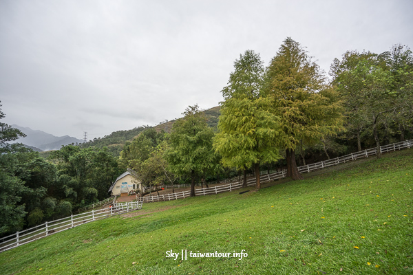 桃園景點推薦-復興鄉偶像劇場景【綠光森林】