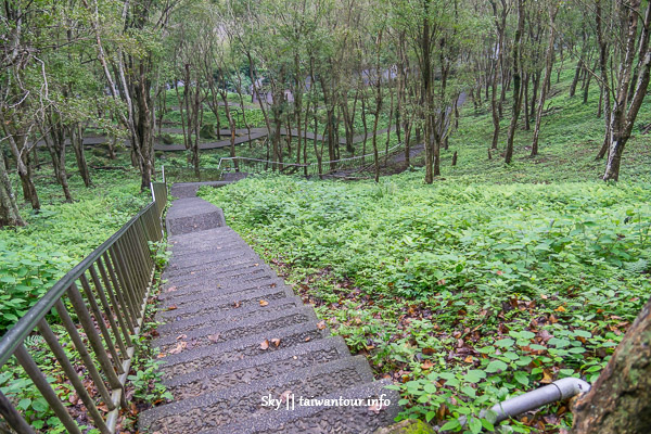 【石門水庫】桃園龍潭親子景點推薦3000顆楓樹轉紅了