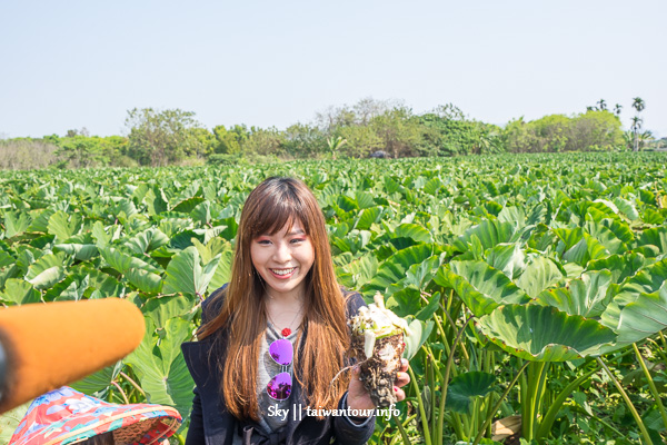 2019林內農村秘境無菜單料理【雲林一日遊】