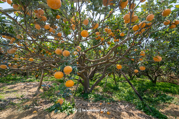 2019林內農村秘境無菜單料理【雲林一日遊】