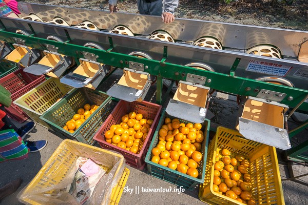 2019林內農村秘境無菜單料理【雲林一日遊】