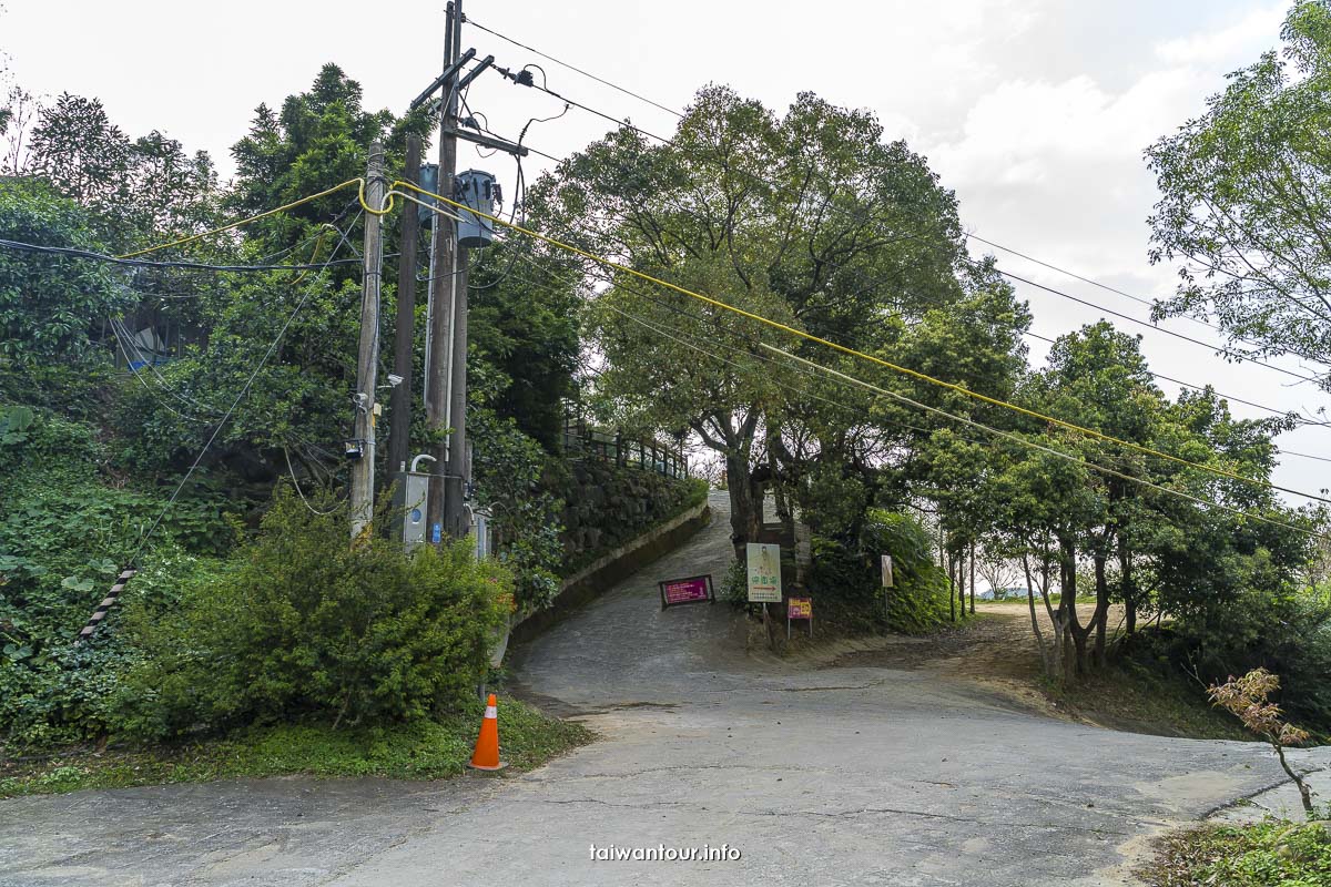 【八里柚香農場(桃樂絲森林餐廳)】新北親子景點八里櫻花.柚子花秘境