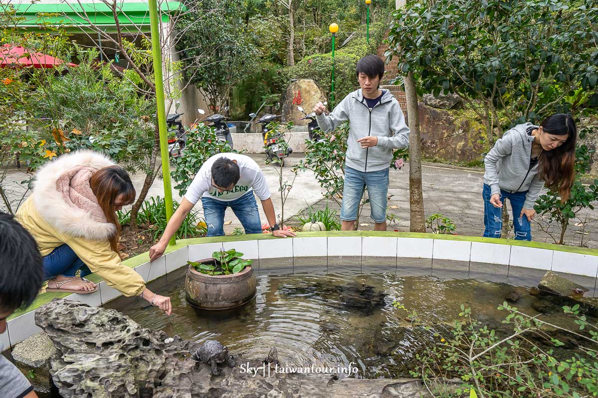 苗栗【南庄好山好水民宿露營地】推薦烤肉.戲水.小木屋.泳池.訂房