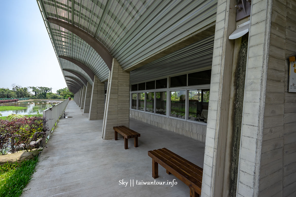 【甲鳥園養鴨農場】宜蘭礁溪親子景點午餐.交通.附近景點.美食