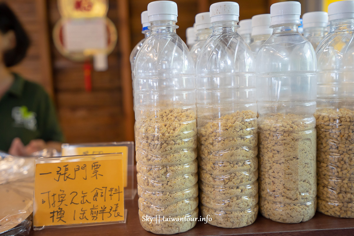 【甲鳥園養鴨農場】宜蘭礁溪親子景點午餐.交通.附近景點.美食