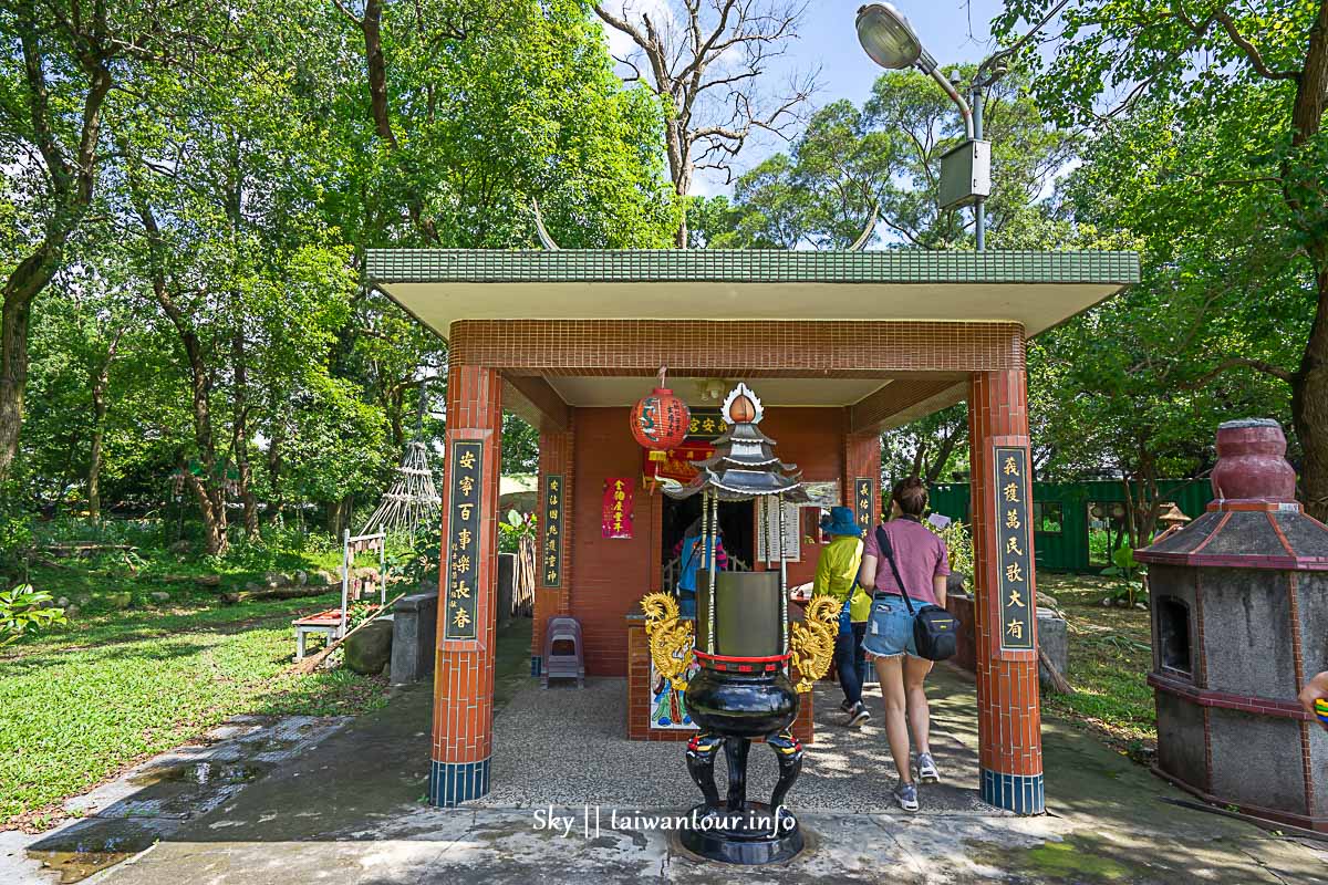 【十一指古道】桃園大溪油桐花秘境地址.百年茄苳樹