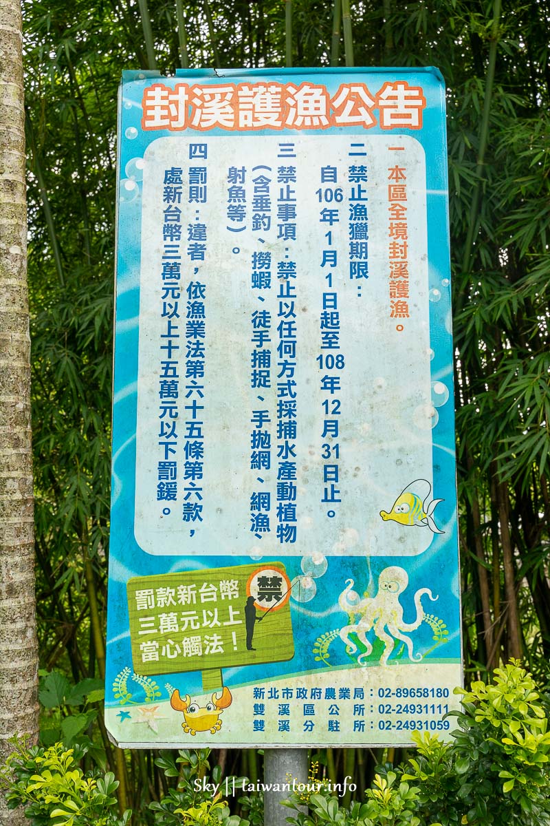 【清水坑】新北雙溪區玩水秘境溪邊野餐戲水池 【清水坑】新北雙溪區玩水秘境溪邊野餐戲水池