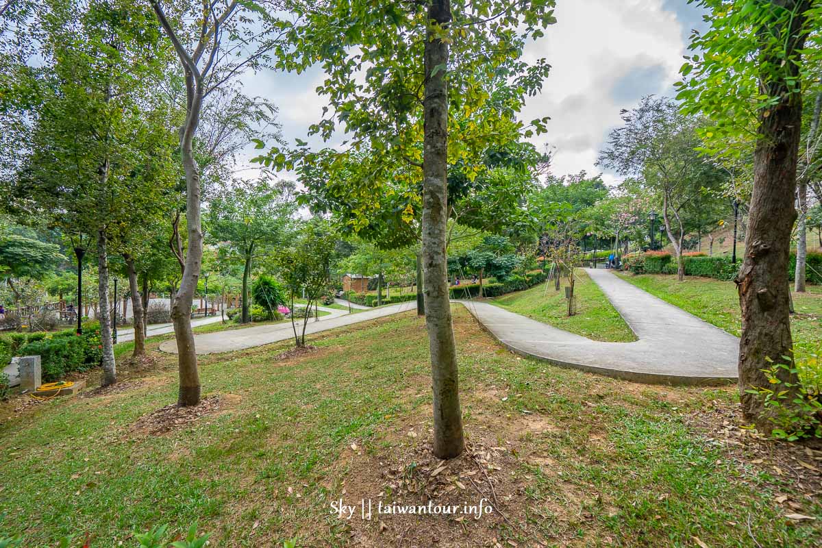 新北免費景點【鶯歌永吉公園】親子特色公園怎麼去.炮仗花季