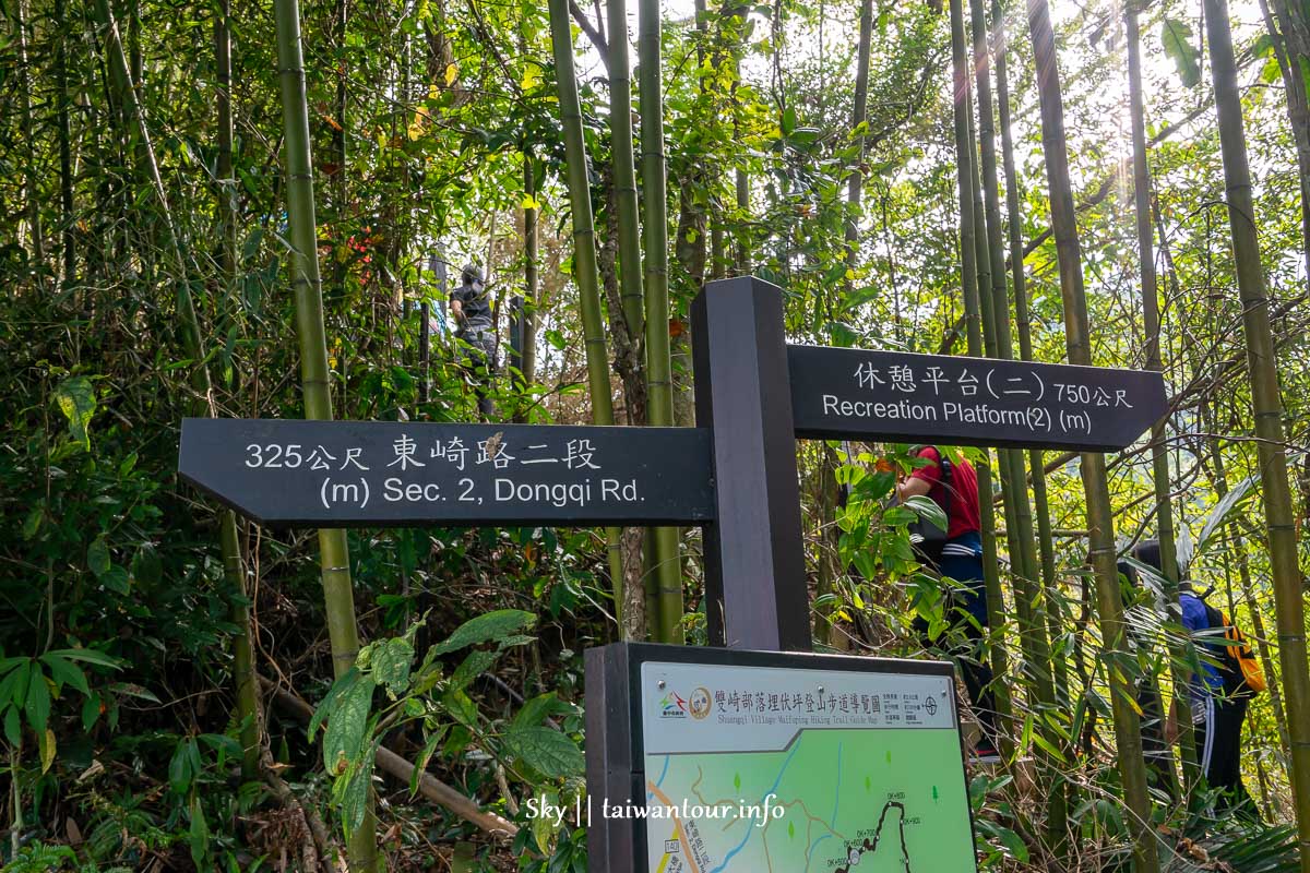 【埋伏坪步道】台中和平景點泰雅雙崎部落生態步道