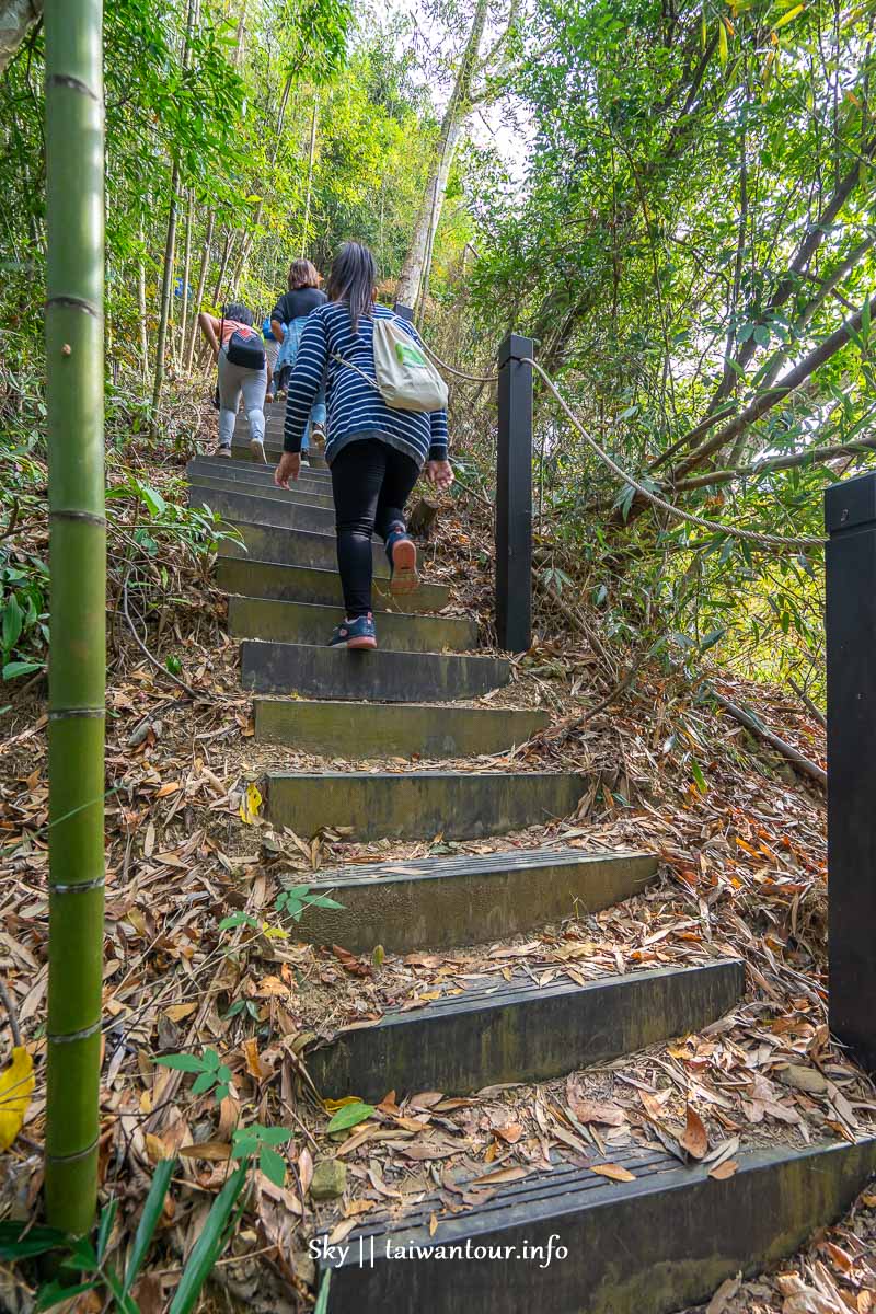 【埋伏坪步道】台中和平景點泰雅雙崎部落生態步道