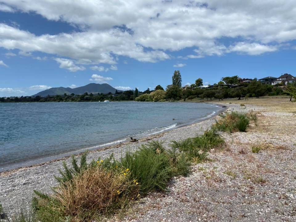 紐西蘭必訪陶波湖【Taupo Spa Thermal Park】免費泉親子景點