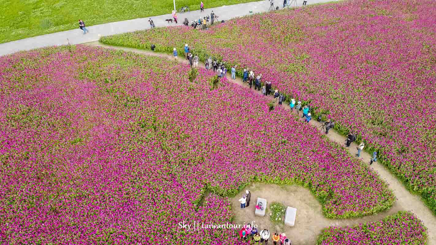 【新北大都會公園】一公頃艷紅花海大爆炸.親子景點