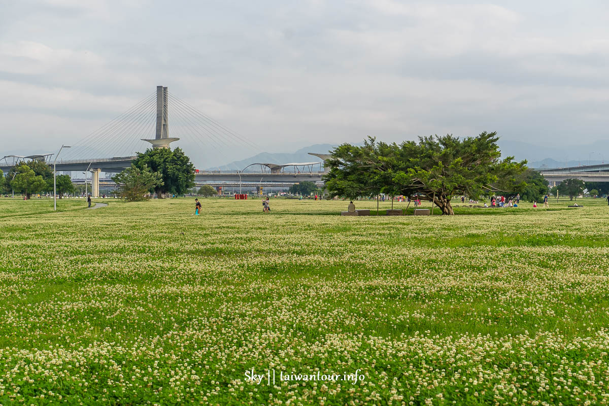 【新北大都會公園】一公頃艷紅花海大爆炸.親子景點