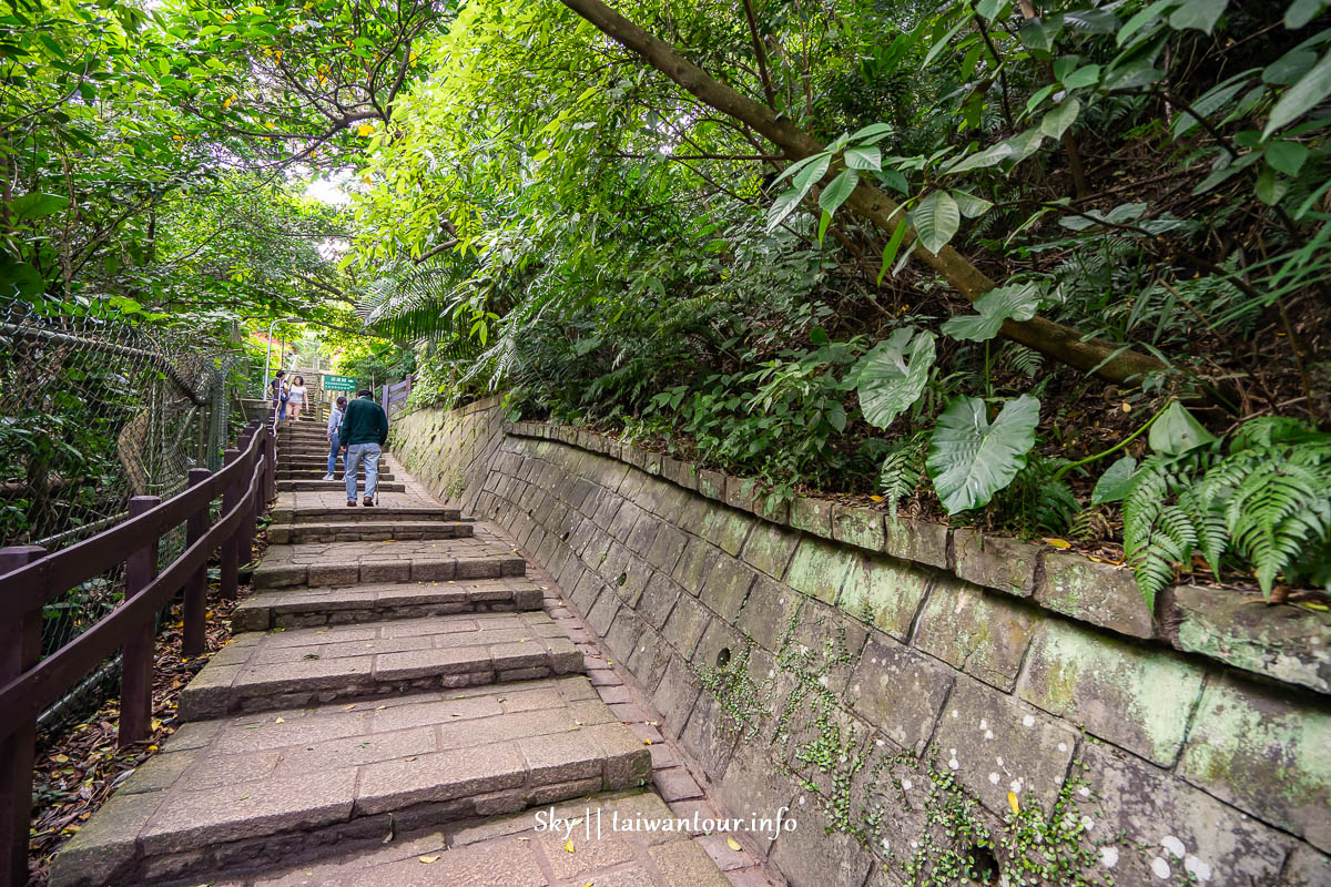 【虎山溪親山步道】台北市秘境玩水.夜賞螢火蟲親子生態之旅.IG景點