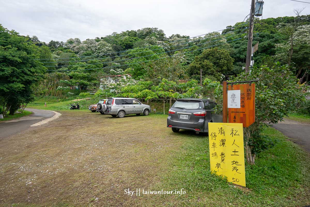 【十一指古道】桃園大溪油桐花秘境地址.百年茄苳樹