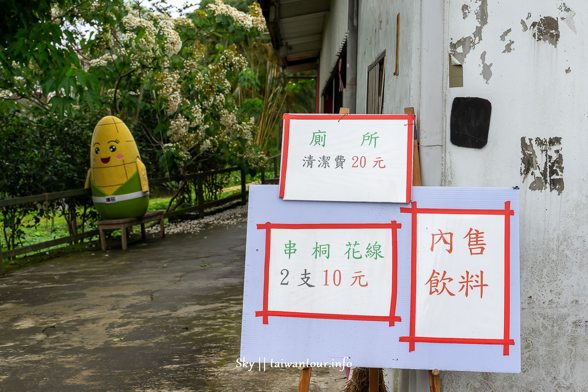 【十一指古道】桃園大溪油桐花秘境地址.百年茄苳樹