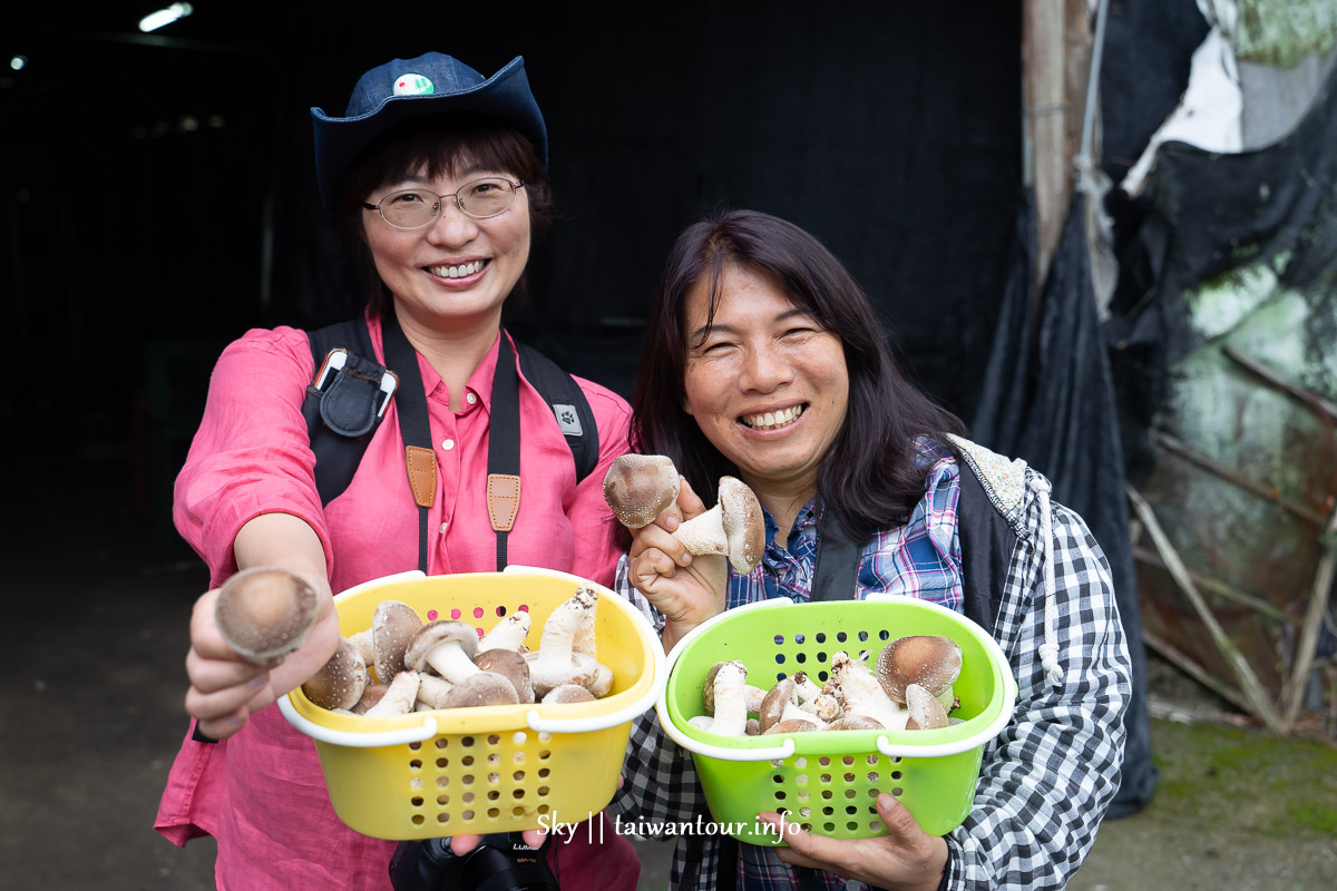 南投行程推薦【跟著蝴蝶去旅行】親子兩天一夜這樣玩