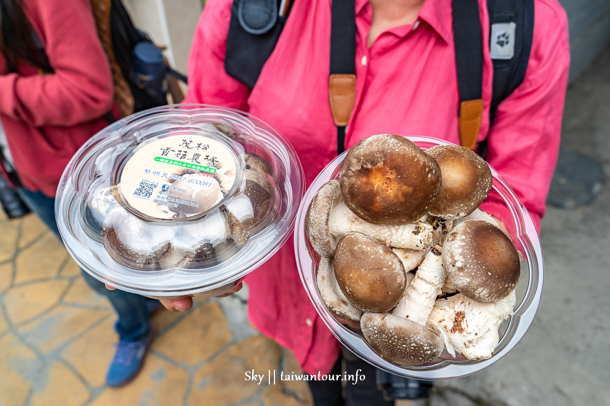 南投行程推薦【跟著蝴蝶去旅行】親子兩天一夜這樣玩